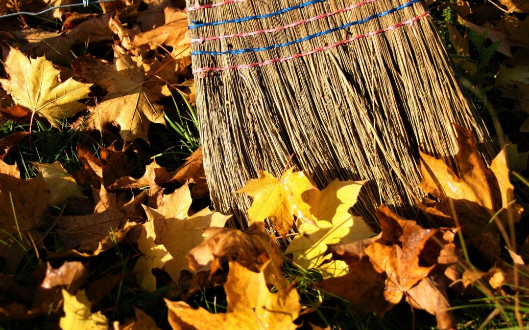 Jesienne porządki w naszym domu