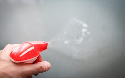 Co warto wiedzieć, zanim zatrudnisz firmę sprzątającą?