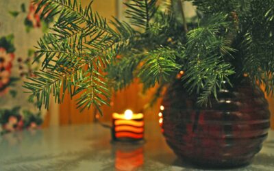 Czyste wnętrza na Boże Narodzenie – jak zaplanować świąteczne porządki?